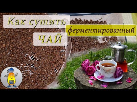 Видео: Как да варим правилно зеления чай - листен и не само