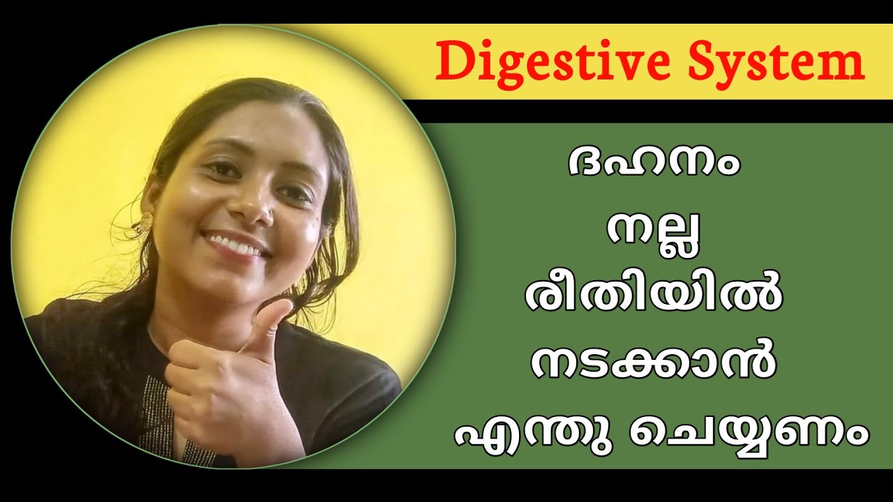Healthy digestive system Healthy food for the digestive system