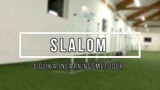 Slalom  En översikt på 3 olika inlärningsmetoder (AGILITY)