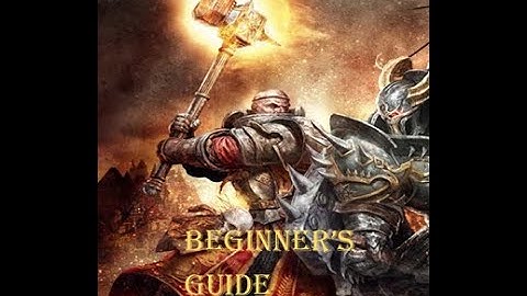 Beginner