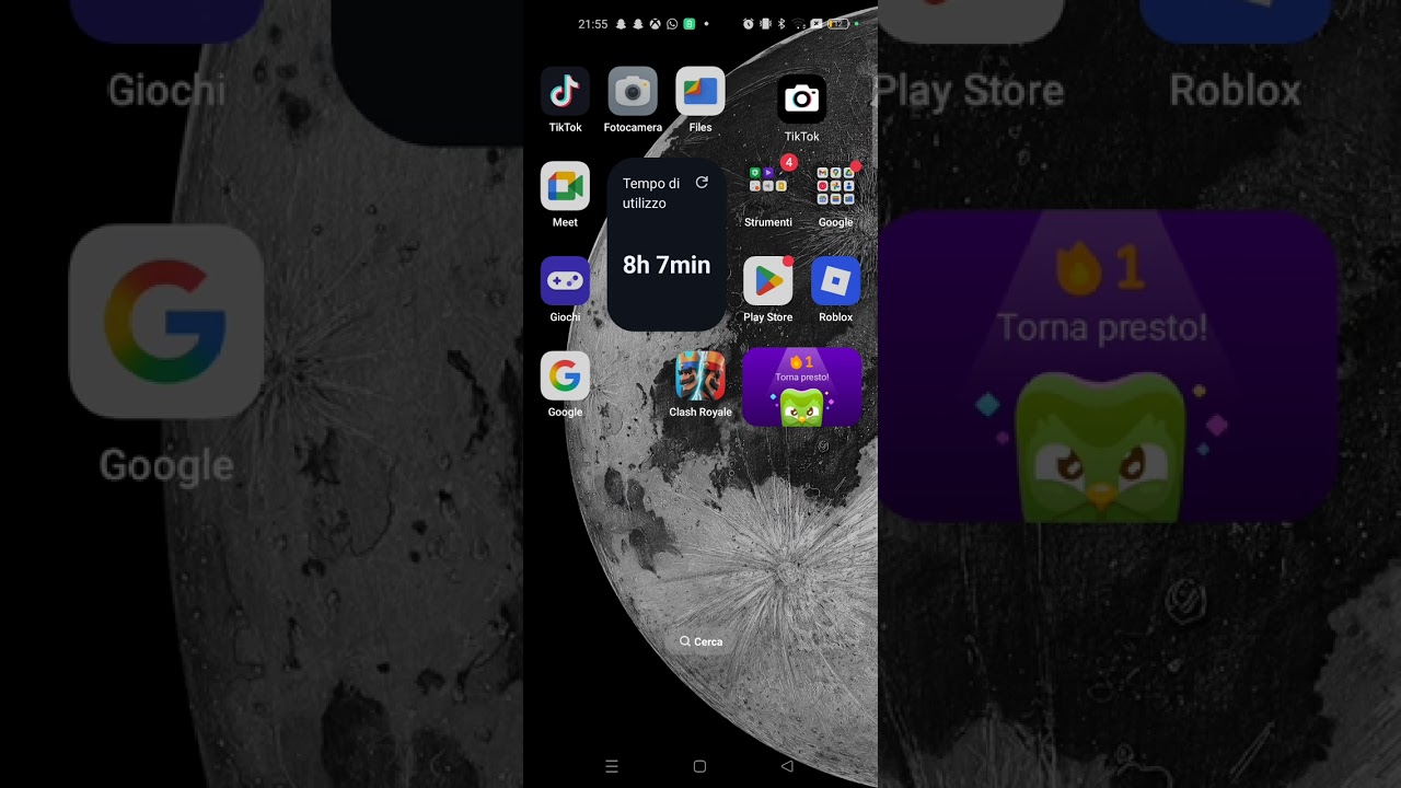 The wellerdangs faulty mercy (parody of wellerman mercy and another song)