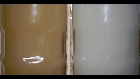 Yeast extract as Yeast nutrient