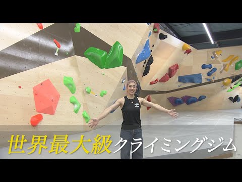 直営店に限定 hqdefault.jpg その他