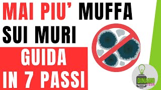 Evitare La Muffa Sui Muri In 7 Pi