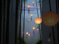 Floating Lantern Bamboo #relaxing #ambient #visualpoetry #creative #creativerelaxation #lulllab9
