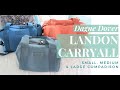 Dagne Dover Landon Carryall Small, Medium and Large Size Comparison