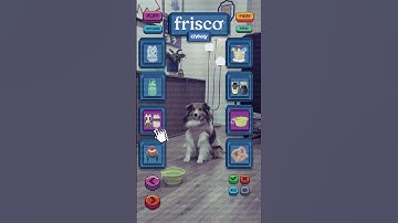 Your Chewy shopping cart with new fits is loading... 🎮🐕🕹️ #frisco #chewy #dog