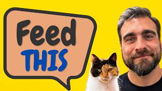Cat Nutritionist Reveals The Best Cat Foods