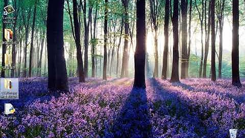 小甲鱼Python零基础教程： 062论一只爬虫的自我修养10：安装Scrapy