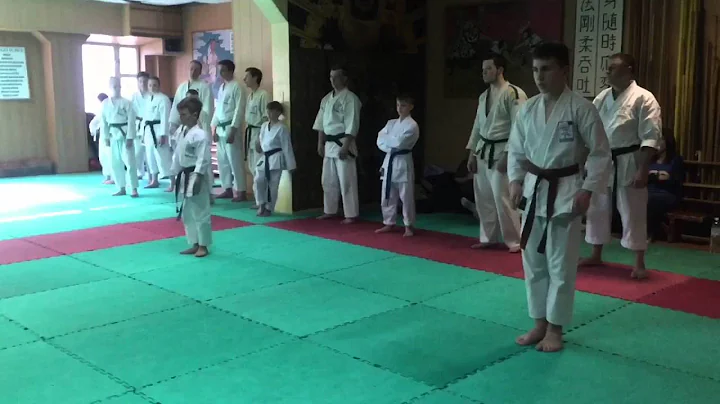 Grand Gasshuku 2016 with Sensei Mary Roe (USA) and...