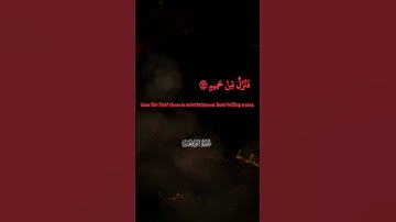 أواخر سورة الواقعة | (و أما إن كان من المكذبين الضآلين) | احمد راكان