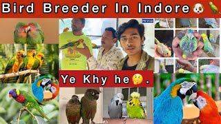 Bird’s Breeder In Indore || All animals Available On Order || 🦜🐶🐱🐹