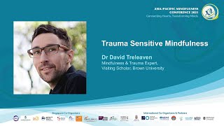 Celebrity Trauma Sensitive Mindfulness | Dr David Treleaven Wealth