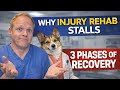 Why Injury Rehab Stalls: 3 Phases of Recovery