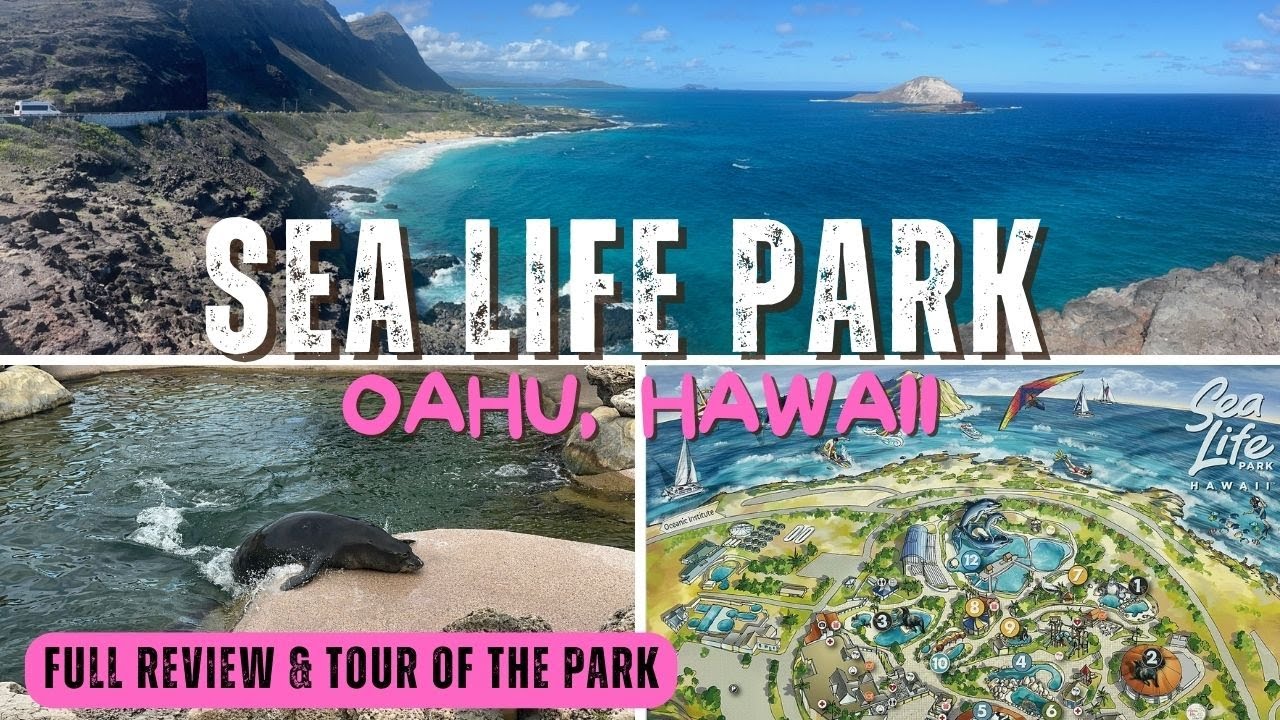 4K SEA LIFE PARK IN OAHU, HAWAII (FULL REVIEW & TOUR OF PARK) ONE OF THE GREATEST ATTRACTION IN OAHU