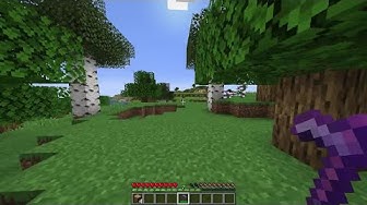 Wardenleaks Youtube