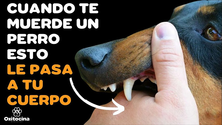 LOS CAMBIOS EN TU CUERPO cuando te MUERDE UN PERRO son importantes para que PUEDAS SANAR
