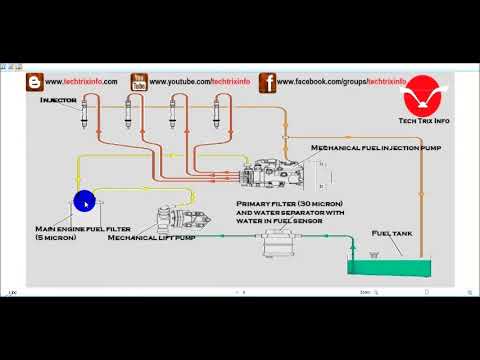 view модусные категории assertion negation