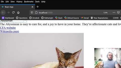 React capstone project