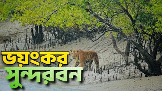 সুন্দরবন ভ্রমণের সবকিছু এক ভিডিওতে  World's Largest Mangrove Forest | Sundarban Relax Trip 2023
