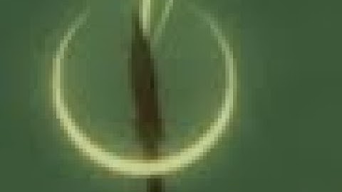 (SU:R)The Path to The Strongest:100 Charged Arrows for DTW