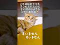 【おやつないなった(2日目)】