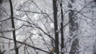 картинка: Малый Кристалл - Пустые Города (При уч.Саграда)