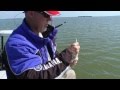 Key largo sea trout  sportsmans adventures with captain rick murphy