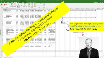 Watch this before purchasing MS Project Professional, learn what this PM software can do for you.