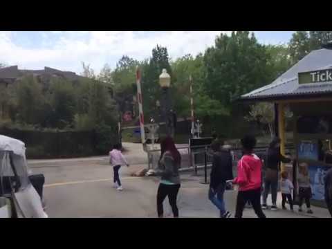 ST. LOUIS ZOO RAILROAD CROSSINGS - YouTube