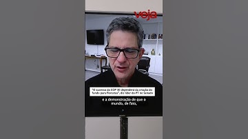 “O sucesso da COP 30 dependerá da criação do fundo para florestas”, diz líder do PT no Senado