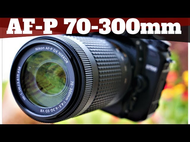 AF-P DX NIKKOR 70-300mm f/4.5-6.3G ED VR Lens Review | Nikon D7500