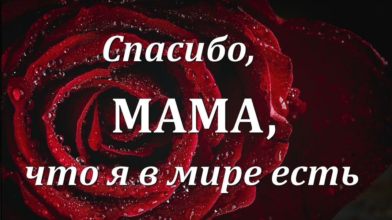 Тату спасибо маме за жизнь н. Мамочка надпись. Я ахуенная спасибо мама тати. Спасибо мамочка. Спасибо маме за.