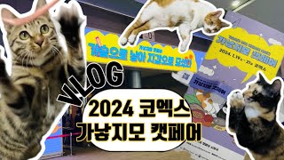 [일상vlog]2024 가낳지모 캣페어 VLOG | 첫 브이로그로 엉망진창주의 | 1년6개월 집사의 캣페어 추천템