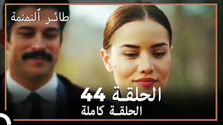 44 طائر النمنمة | الحلقة