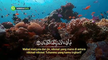 تلاوة مؤثرة جدا من سورة الرحمن للقاريء  اسلام صبحي .. ايات كريمه تحث على التامل