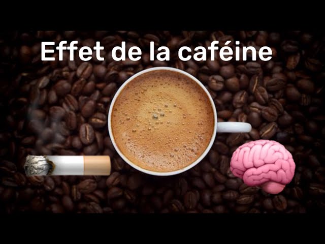 ☕️ Caféine, théine et Café clop ! 🚬