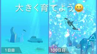 シャチ育成ゲーム3D screenshot 5