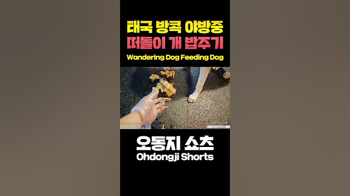 태국방콕 야방중 "떠돌이 개 발견하고 밥챙겨주는 동지..?!"