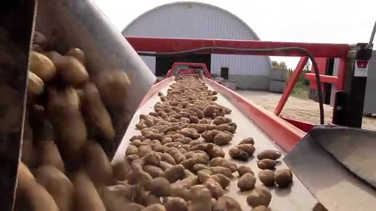 Maine Potato Board | "Growing Maine's Economy"