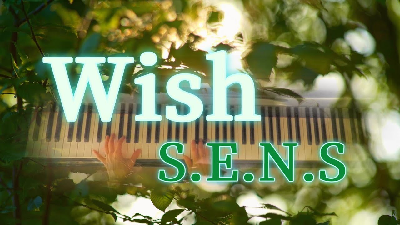 ドラマ『神様、もう少しだけ』挿入歌 Wish／S.E.N.S.(センス