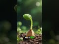 Esse conselho vai mudar sua vida #reflexão #motivação #viral #pensamentos #sabedoria #gratidão #fé