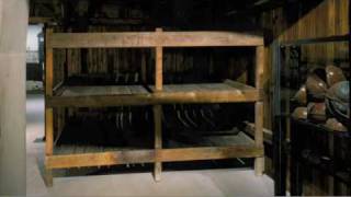Auschwitz Survivors Tell Their Stories