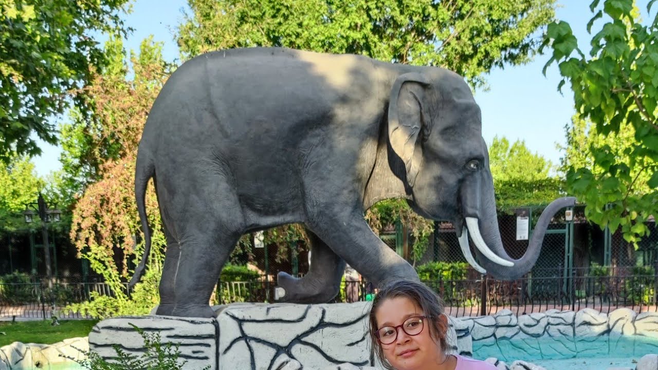 Konya hayvanat bahçesi 2022 yeni! 