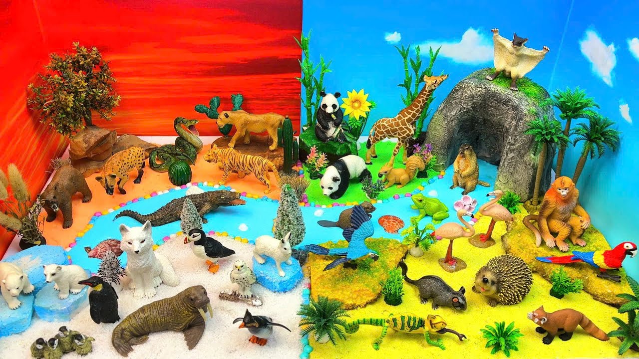 Diverse Animal World | Explore Arctic, Savanna & Green Forest 🐻‍❄️🦁🐼🦜