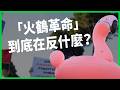 川普女婿的地中海夢，變成阿爾巴尼亞人的惡夢？保護區蓋度假村、火鶴濕地被圍！「火鶴革命」到底在反什麼？【TODAY 看世界】