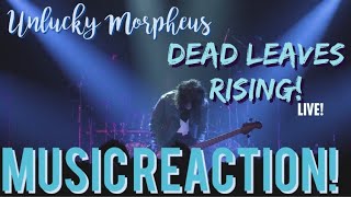 That Has To Be The Best Solo Intro Unlucky Morpheus  Dead Leaves Rising   Reaction