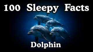 Documentary for Sleep | 100 Sleepy Dolphin Facts