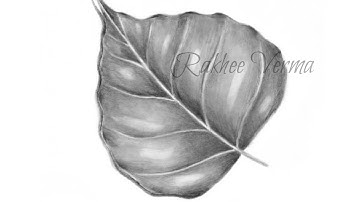 How to draw leaf|peepalleaf|shading