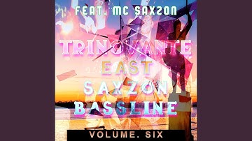 Consecutive Systematic Government Failings